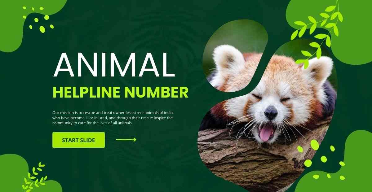 animal helpline number